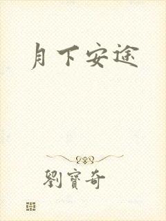 月下安途