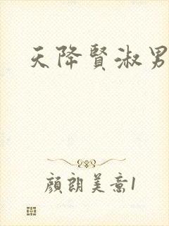 天降贤淑男小说封面