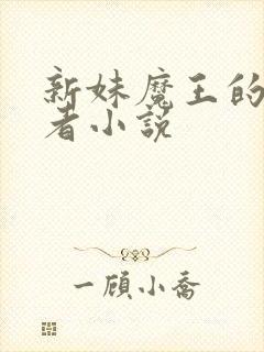 新妹魔王的契约者小说封面