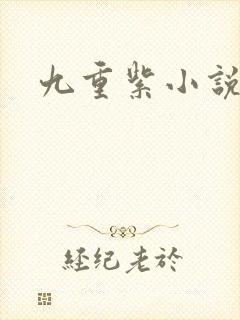 九重紫小说