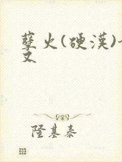 孽火(硬汉)今又