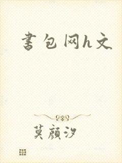 书包网h文