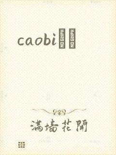 caobiС˵封面