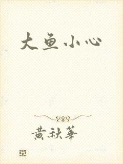 大鱼小心封面