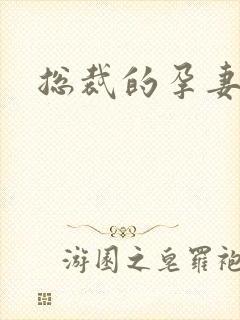 总裁的孕妻封面