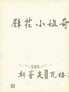 壁花小姐奇遇记