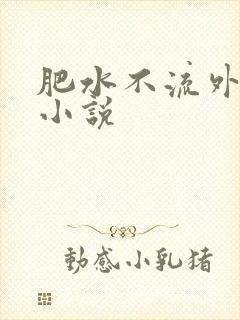 肥水不流外人田小说