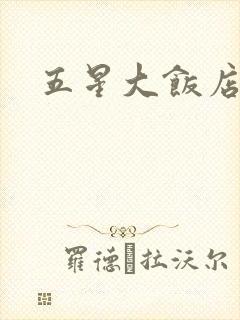 五星大饭店小说