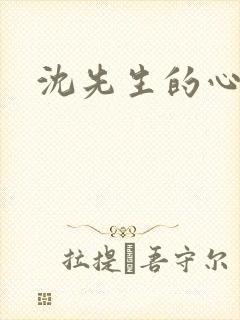 沈先生的心头宝