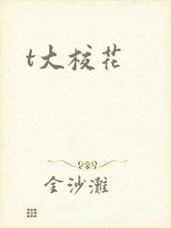 t大校花