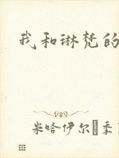 我和琳梵的故事