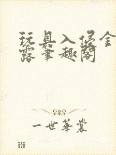 玩具入侵金银花露笔趣阁