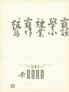 校霸被学霸压着写作业小说封面