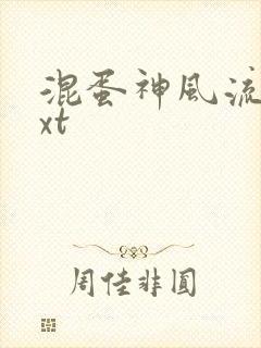 混蛋神风流史txt封面