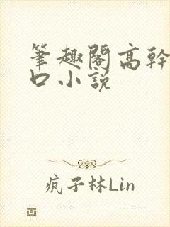 笔趣阁高干文入口小说