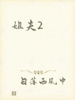 姐夫2
