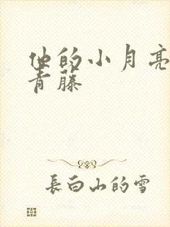 他的小月亮by青藤