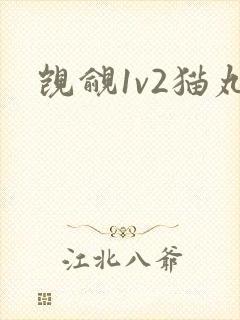 觊觎1v2猫丸