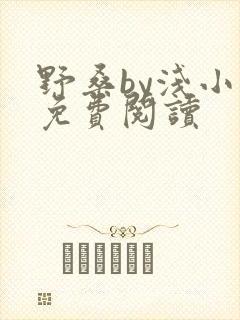 野桑by浅小说免费阅读