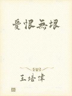 爱恨无垠封面