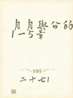 月月与公的激情1一5章