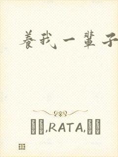 养我一辈子封面