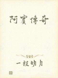 阿宾传奇