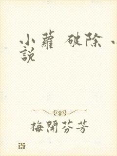 小萝 破除 小说