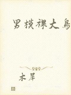 男模裸大鸟