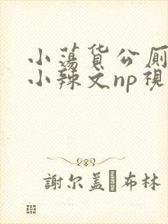 小荡货公厕h文小辣文np视频