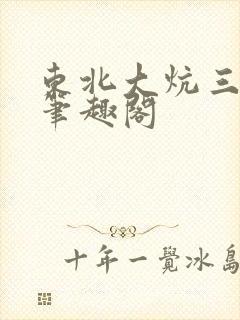 东北大炕三部曲笔趣阁
