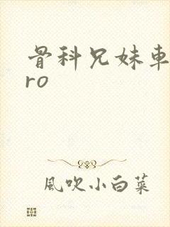 骨科兄妹车多pro