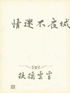 情迷不夜城