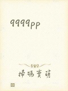 9999pp封面