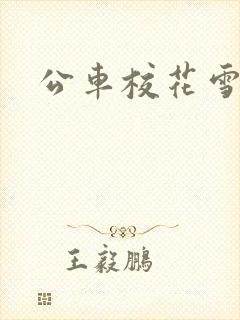 公车校花雪柔h封面