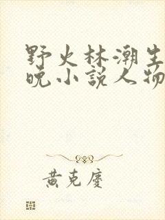 野火林潮生林晚晚小说人物野火