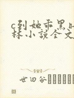 c到她乖黑暗森林小说全文阅读