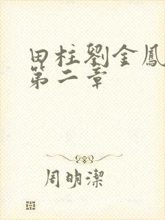 田柱刘金凤小说第二章封面