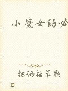 小魔女的必杀技封面