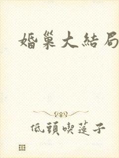 婚巢大结局