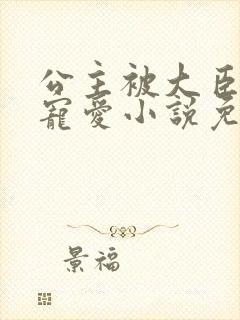 公主被大臣轮番宠爱小说免费阅读