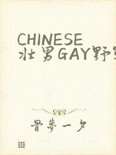 CHINESE壮男GAY野战强迫TUBE