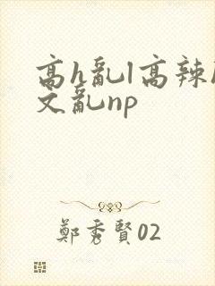 高h乱l高辣h文乱np