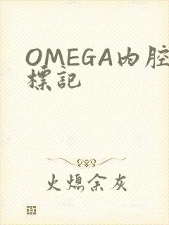 OMEGA内腔标记封面