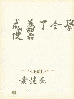 成为了全学校坐便器