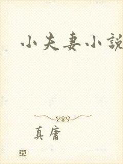 小夫妻小说