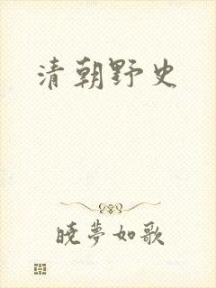 清朝野史