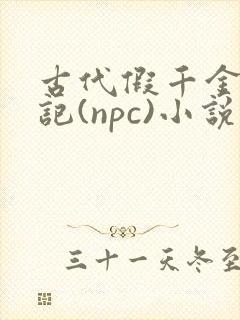 古代假千金挨日记(npc)小说