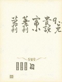 荣华富贵9小王莉莉小说免费阅读