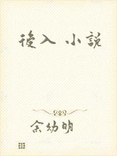后入 小说